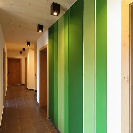 Alm Planai Schladming