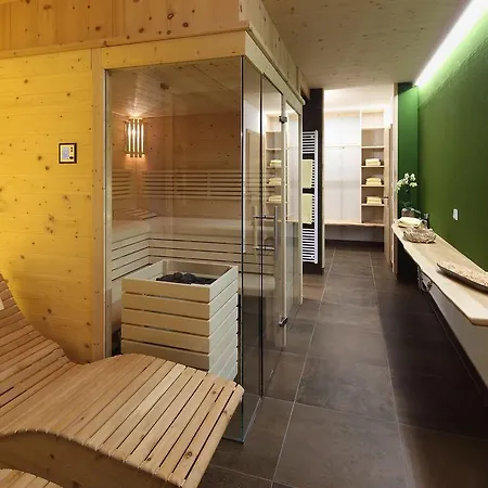 Σαλέ Alm Planai Schladming