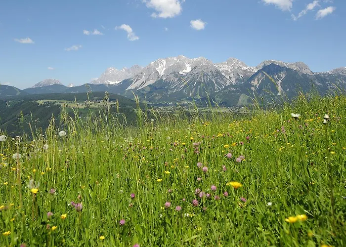 Alm Planai Alpehytte *