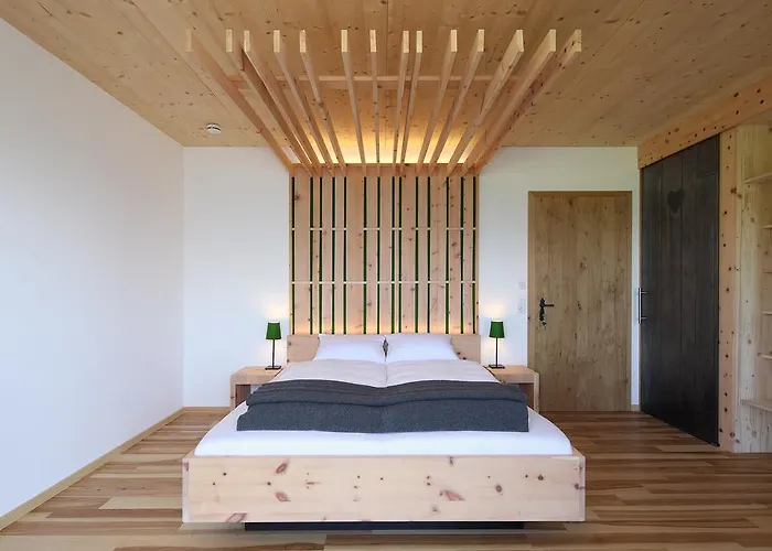 Alm Planai Schladming