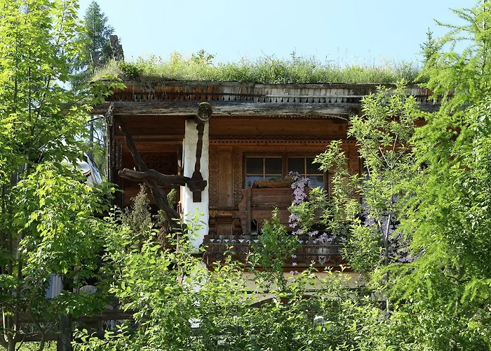 Alm Planai * Schladming